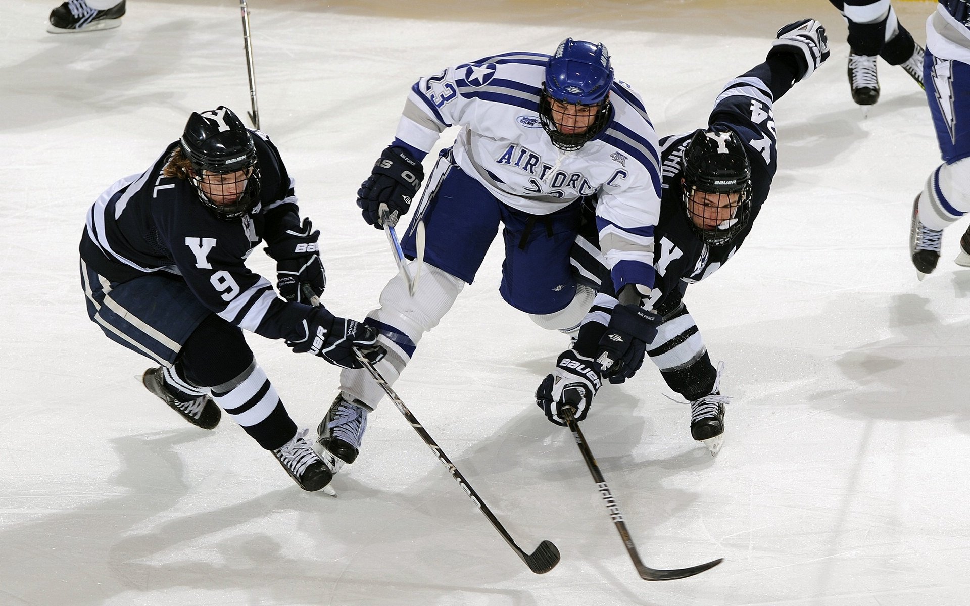 校园体育文化建设对学生健康促进作用,在校园体育文化建设中有着举足轻重的作用