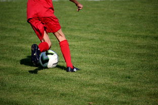 米兰全站APP下载-意甲裁判语义分析系统在比赛判罚中的应用研究，意甲第三轮裁判